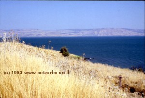 Scene of Hillside Discourse (NHM 5-8.1)